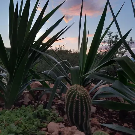 Apartament Orlovac Slime